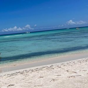 Meet your Posher, Selma